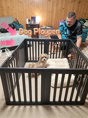 Dog Playpen for Indoor Use