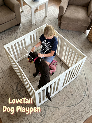 LoveTail Puppy Playpen